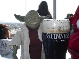 Yoda trinkt Guinness